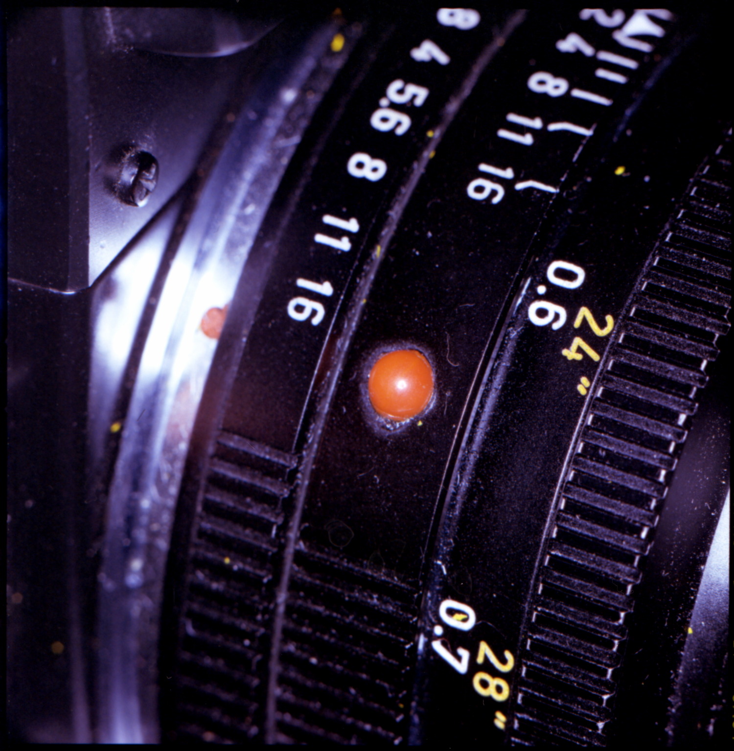 Leica R3 with 50mm Summicron R
